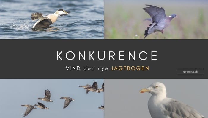 Kend dit vildt og dine vildtbestande