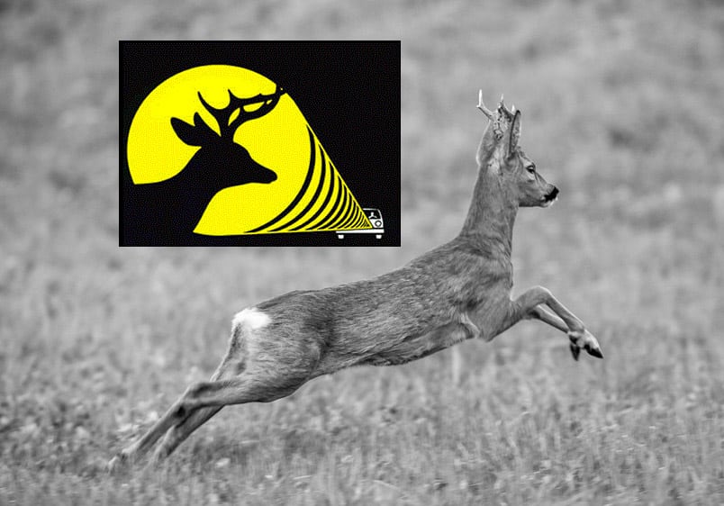 Stop Dyr: En dyrealarm, der kan holde hjortevildt af vejen