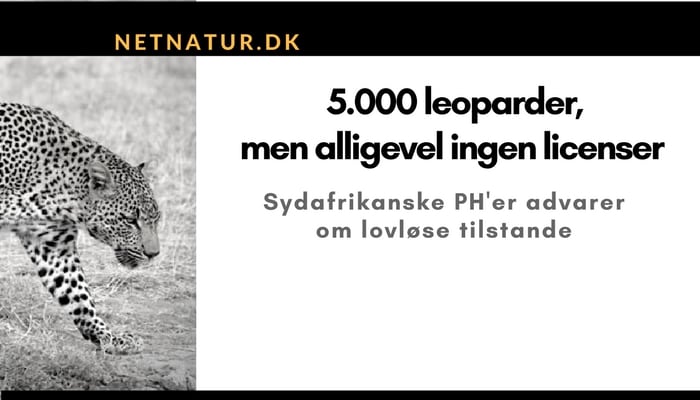 Sydafrika: PH'er starter egne videnskabelige undersøgelser