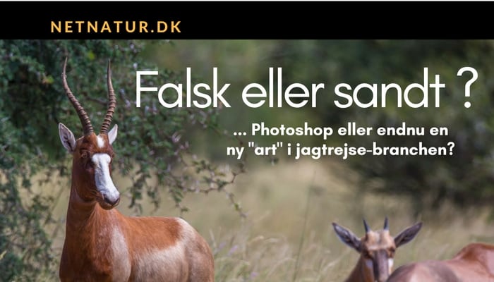 Endnu en ny variant i Sydafrika?