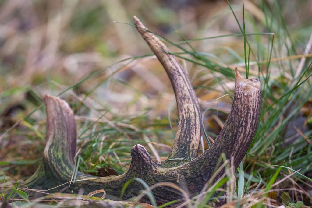 Nationalpark Thy får ny bestyrelse