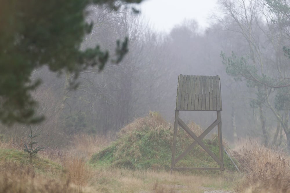 Naturstyrelsen starter en ny informationskampagne om reglerne for skydetårne og -stiger. Den følges op af styrelsens vildtkonsulenter