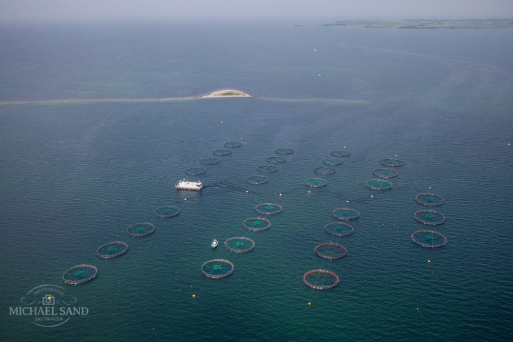EU efterlyser mere fakta om havbrug