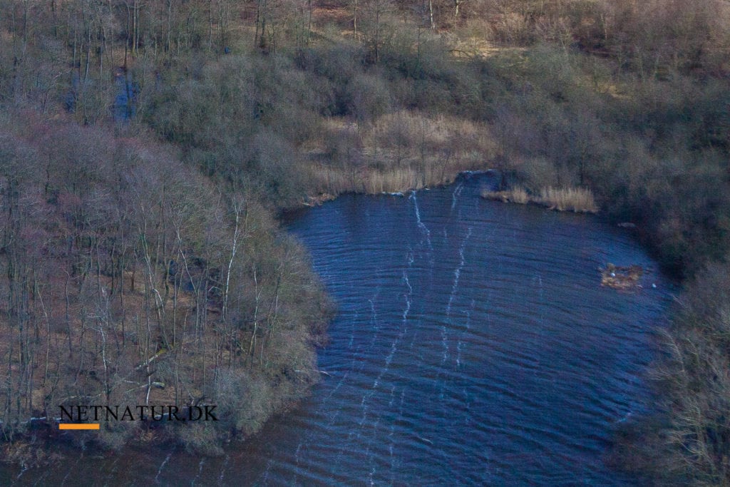 Danmarks sydspids får nyt naturområde