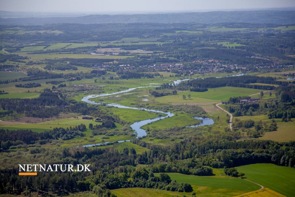 Vådområder fjerner 150 ton kvælstof