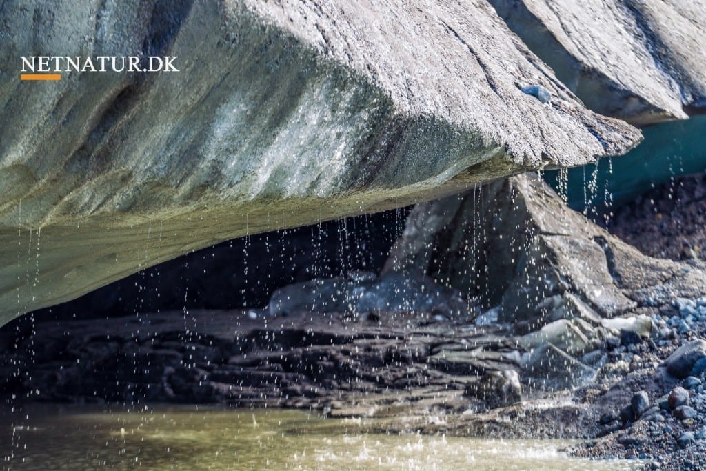 Hvad sker der med København, hvis global opvarmning stiger?