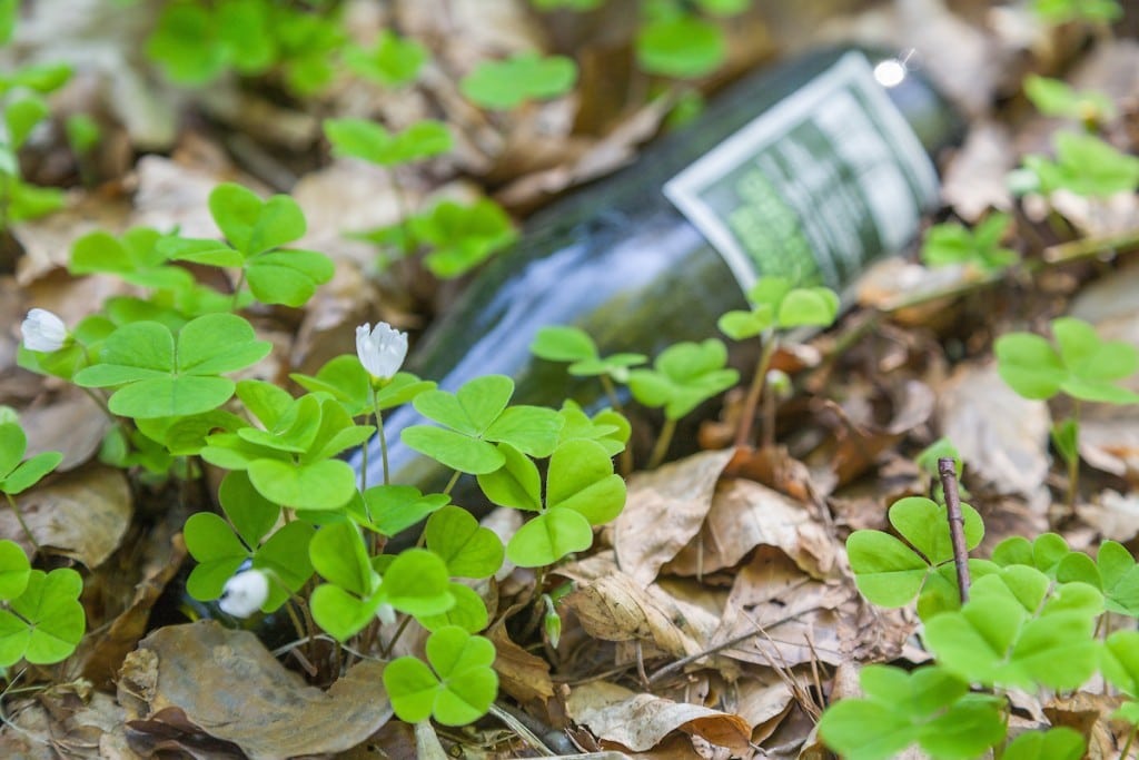 154 tons affald indsamlet: Pink dildo, to kg hash og et gebis