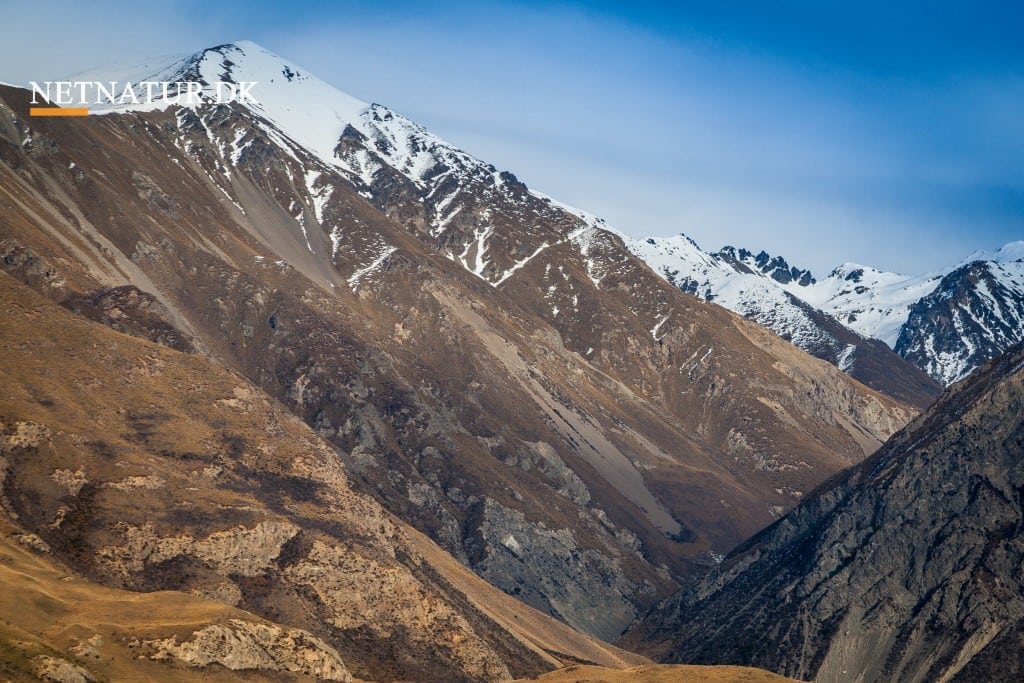 Pakistan set med jægerøjne