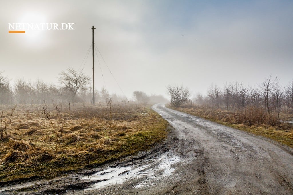 Naturen skal rykke byens rødder tættere på arbejdsmarkedet