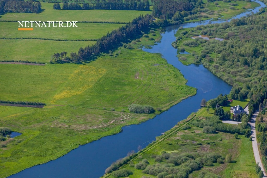 L&F: Kreativ bogføring i forskermiljøet