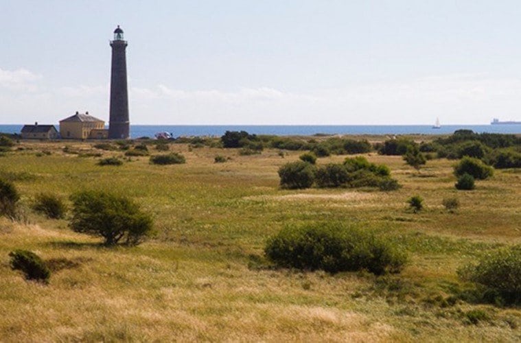 Se udsigten fra Det Grå Fyr i skagen
