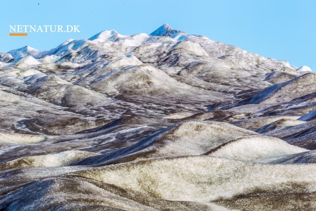 USA anerkender menneskeskabte klimaforandringer