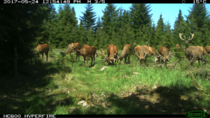 "Sort snak" som argumentation