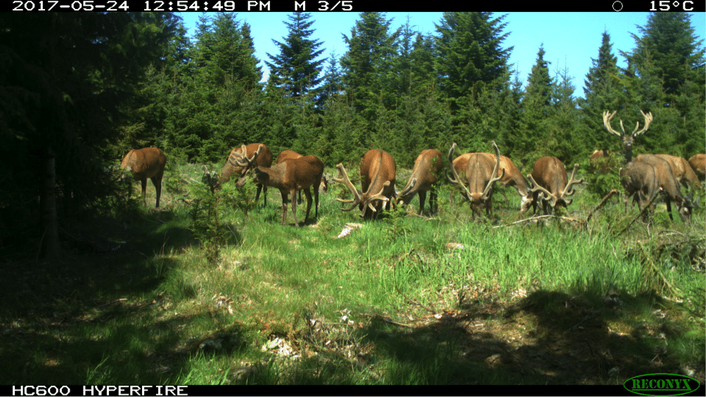 "Sort snak" som argumentation