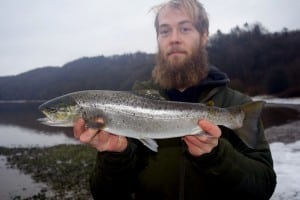 Kim med havørred fra Mariager fjord
