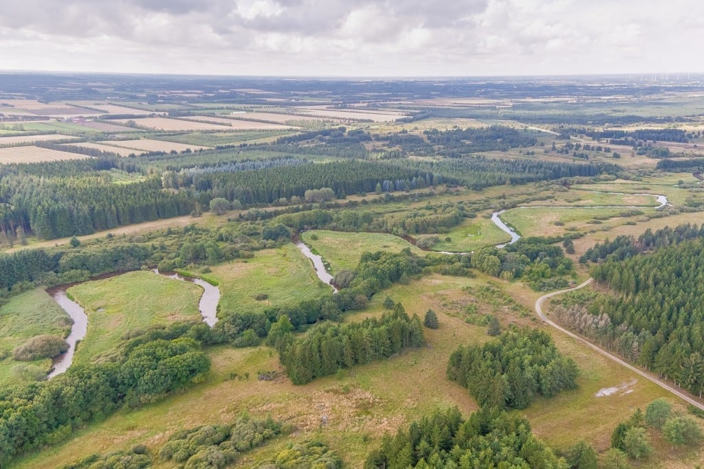 Ny portal for naturpleje i Danmark