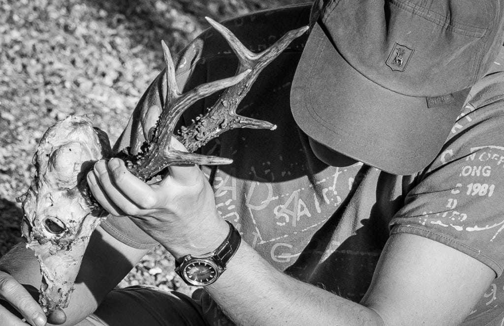 Sådan kan trofæet også renses