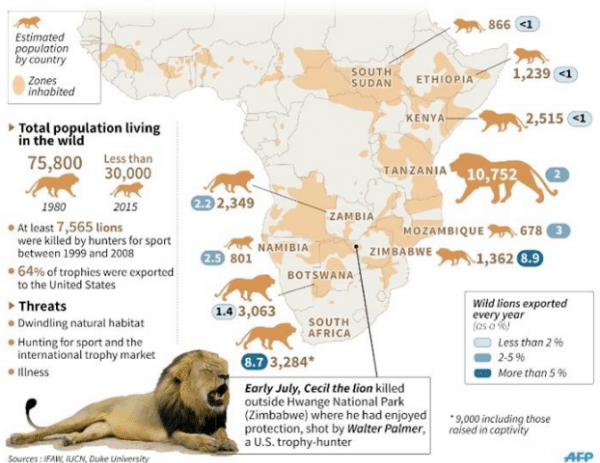 Løve: Her er de land for land