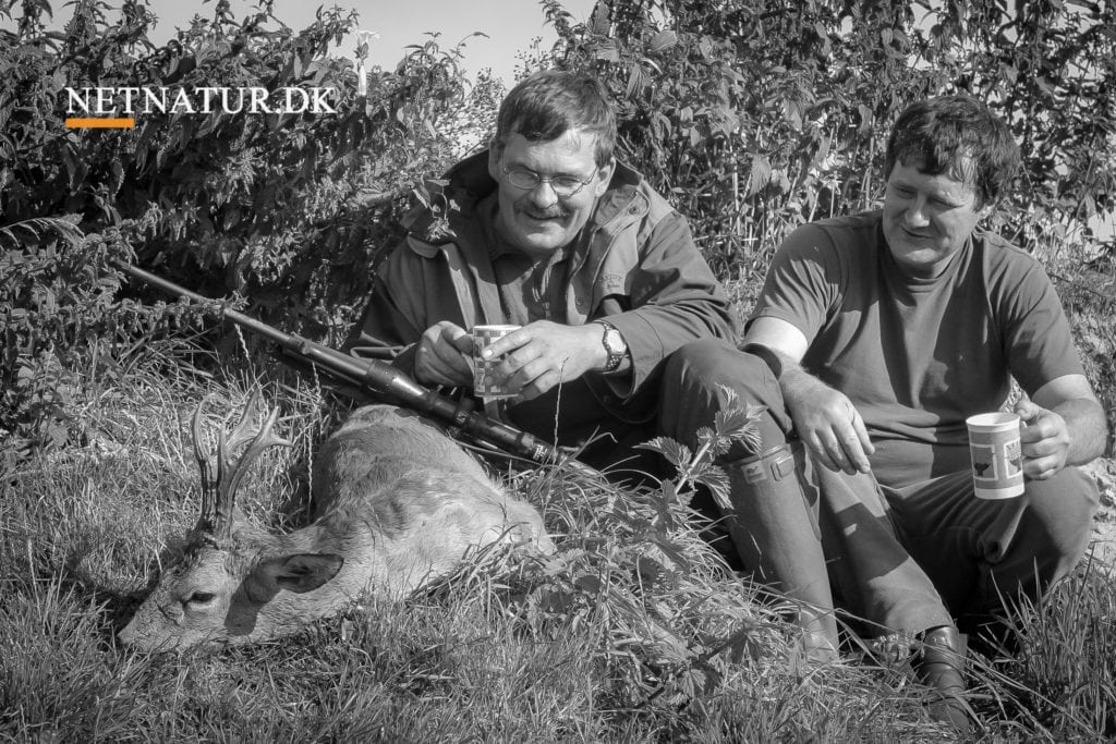 Kaffe: Er det usundt?