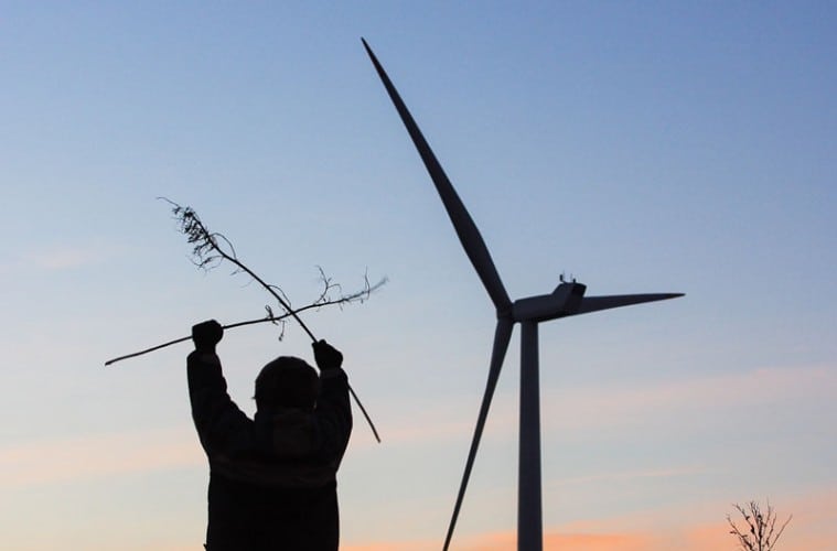 DCE: Testcenteret vil have begrænset negativ påvirkning af fuglebestanden