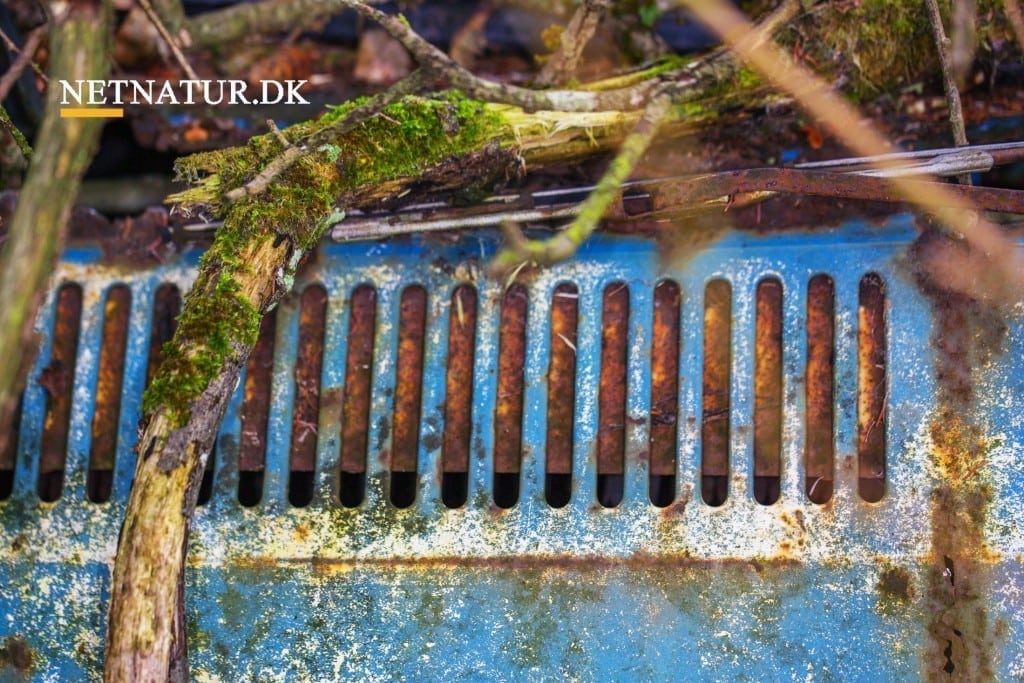 Genanvendelse mere populært