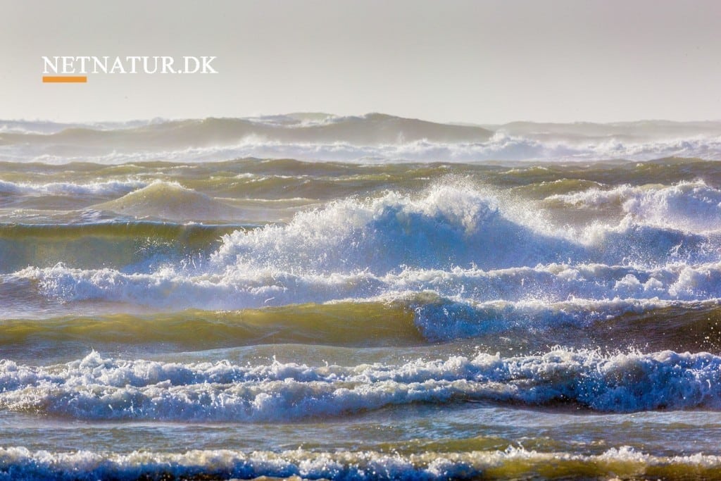 Kystbeskyttelse overgår til kommunerne