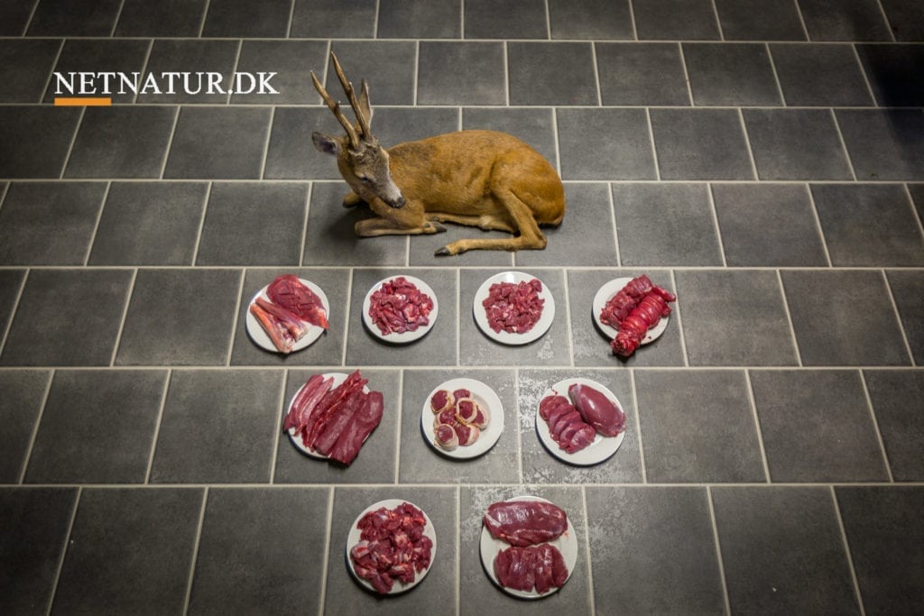 Råvildt: Fra nedlagt til parteret