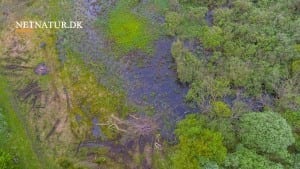 Minivådområder med tilskud