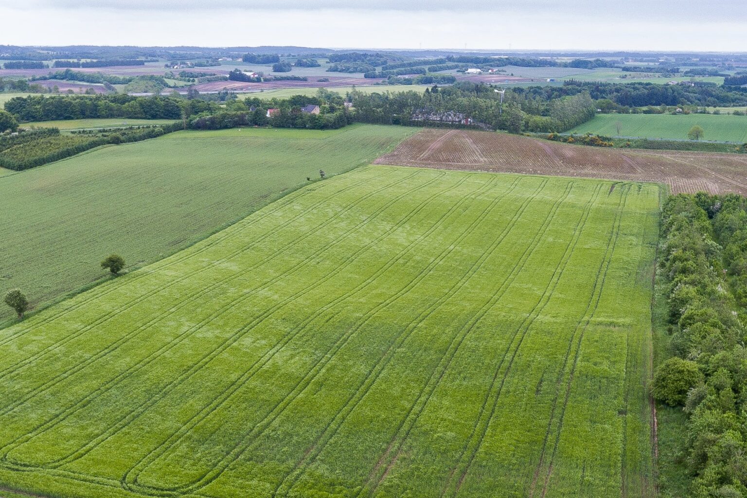 Ny rapport: Halvdelen af landbrugsjorden forsvinder Ny rapport: Halvdelen af landbrugsjorden forsvinder