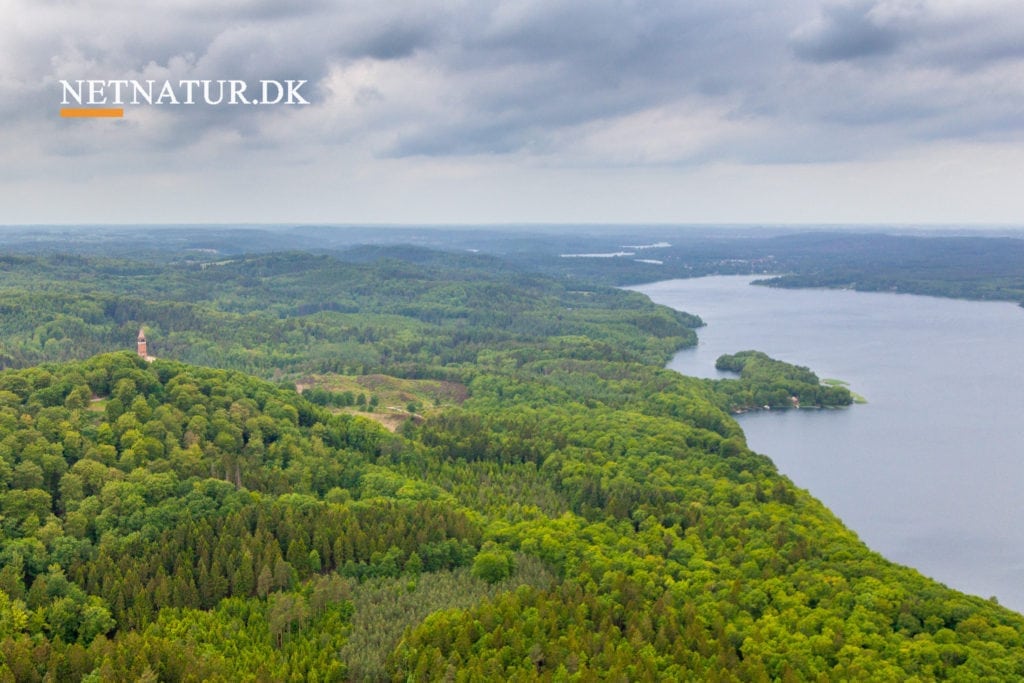 Fosforvådområde ved Silkeborg indvies