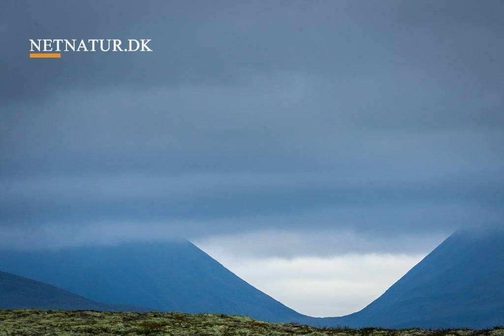 C-vitamin som behandling af kræft