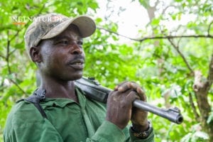 .375 Magnum Holland & Holland - en god allround kaliber