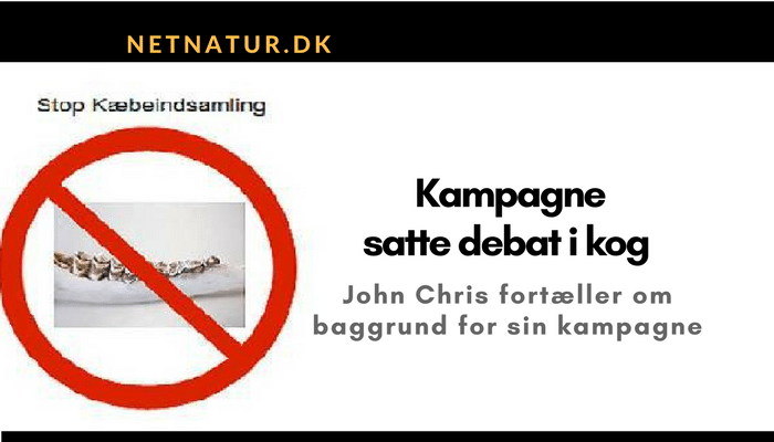 Kæbekampagne: Læs stifters reaktion på reaktionerne