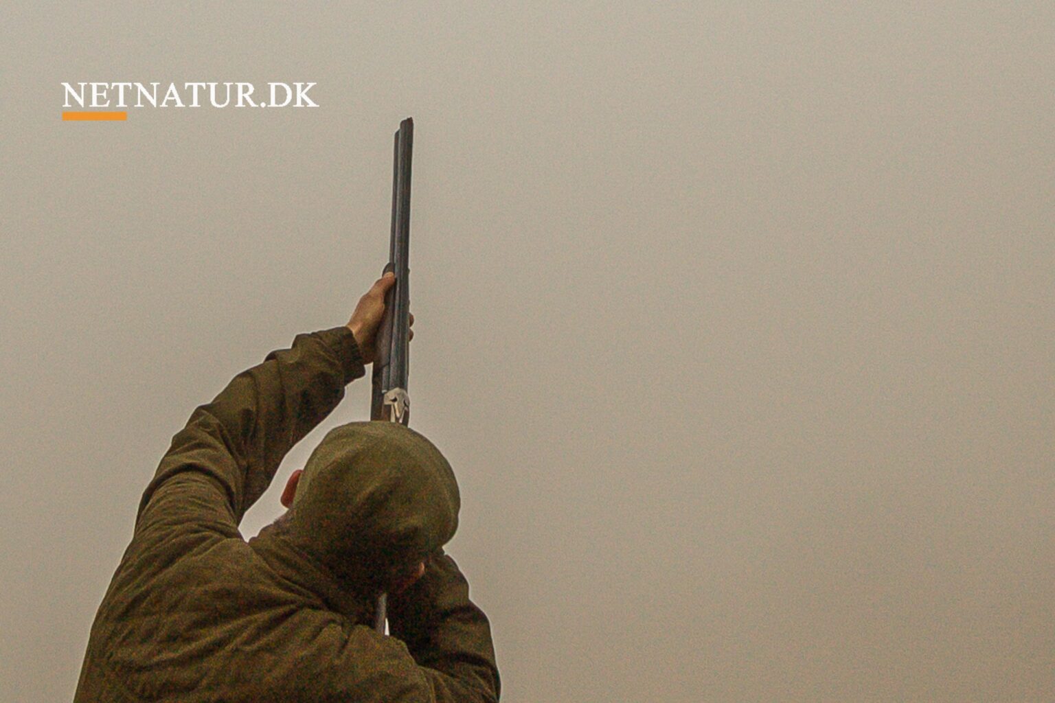 Grouse shooting Grouse shooting