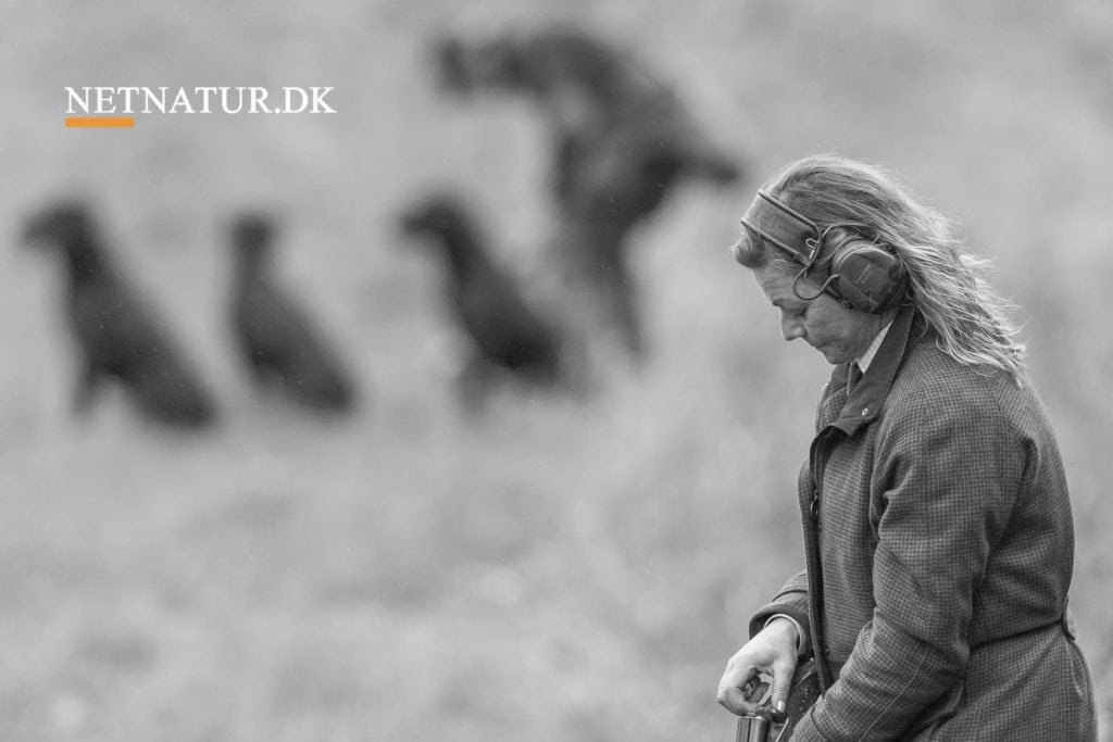 Anti-jagt demonstration mod Grouse Shooting Anti-jagt demonstration mod Grouse Shooting