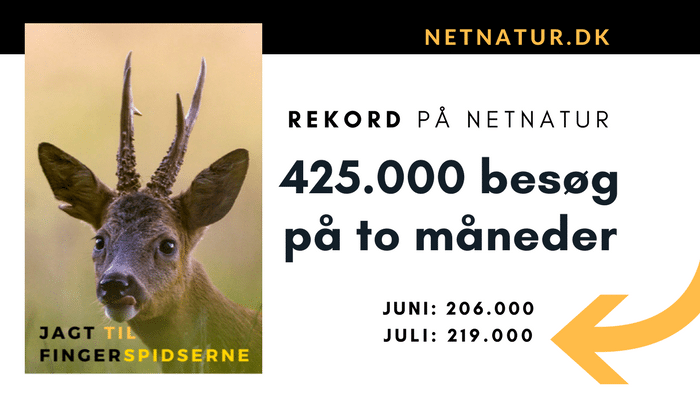 Netnatur.dk: 219.000 besøg i juli