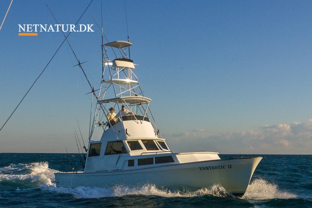 Tun: Verdens måske hurtigste hug