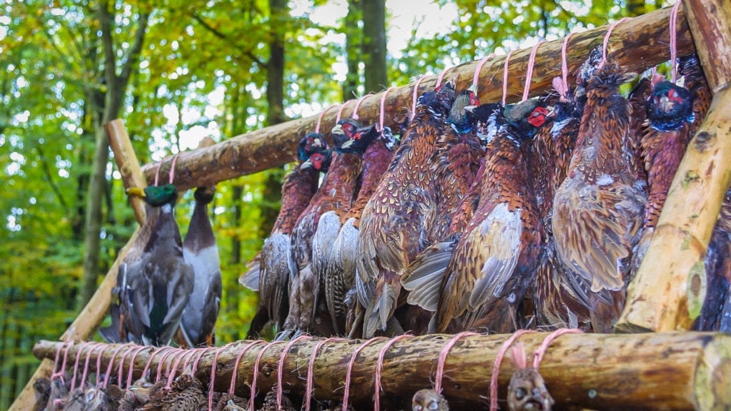 Reglerne for jægeres salg af vildt