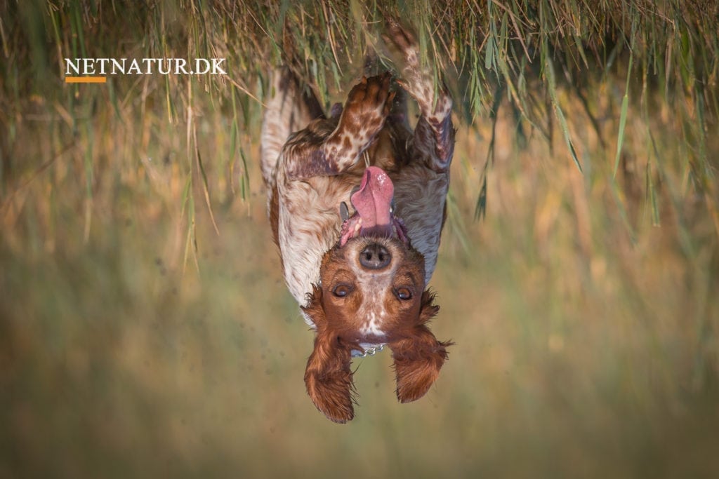 Verden set på hovedet