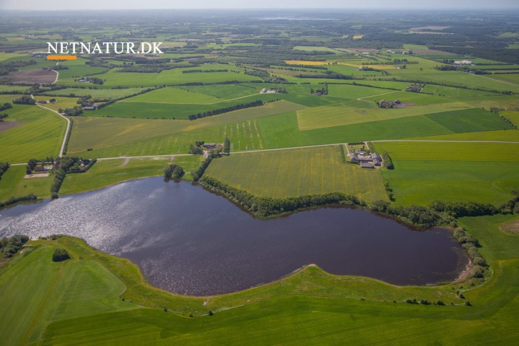 DN gør status over regeringens naturbeskyttelse