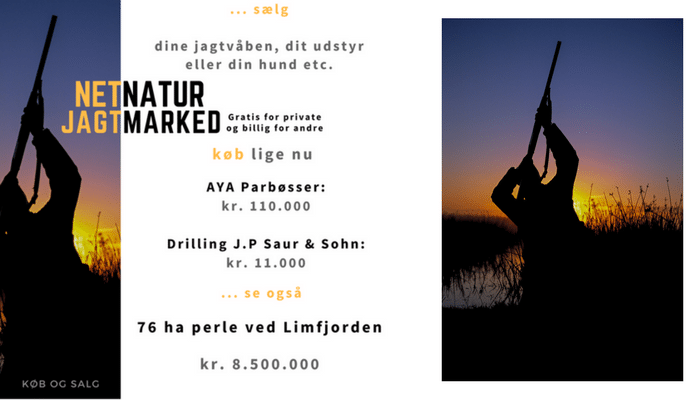 Jagtmarked med drilling og parbøsser Jagtmarked med drilling og parbøsser