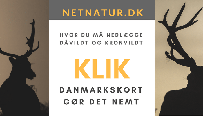 Kronvildt og dåvildt: Generelle og lokale jagttider