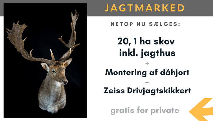 Jagtmarked netop nu
