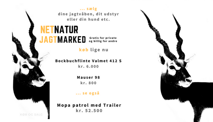 Jagtmarked med båd til havjagt og kombivåben