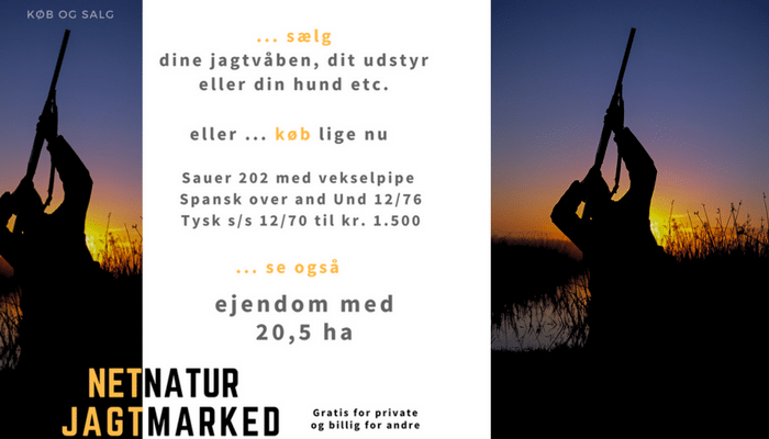 Jagtmarked: Sauer og ejendom med 20,5 ha