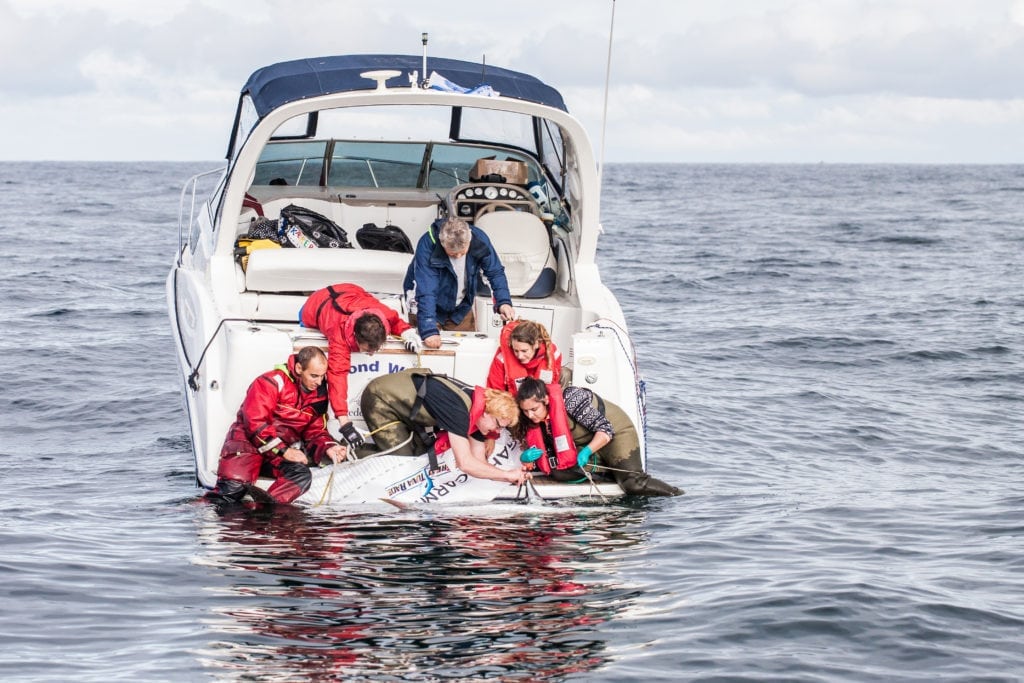 Så er de første tun fanget og mærket i Skagerrak