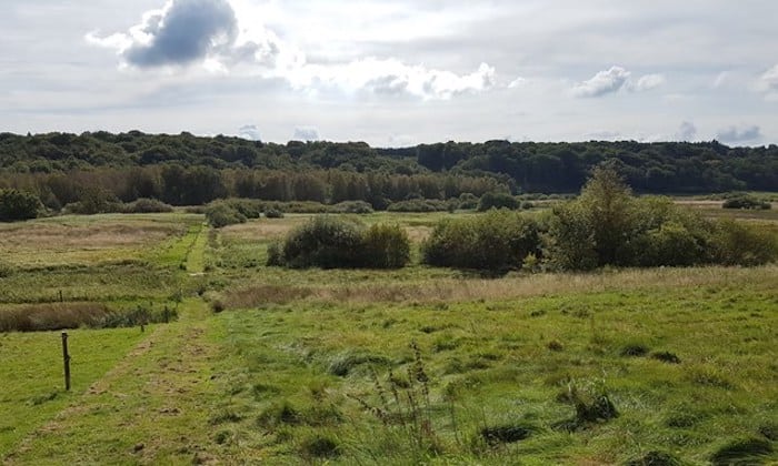 Danmarks længste rigkær er nu færdig