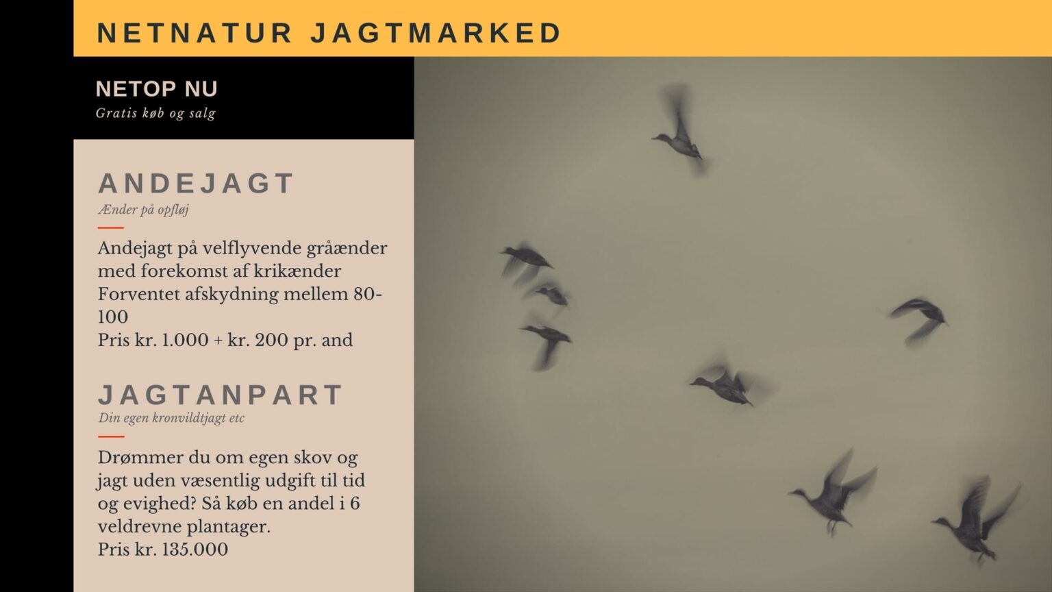 Jagtmarked med andejagt og jagt som investering Jagtmarked med andejagt og jagt som investering