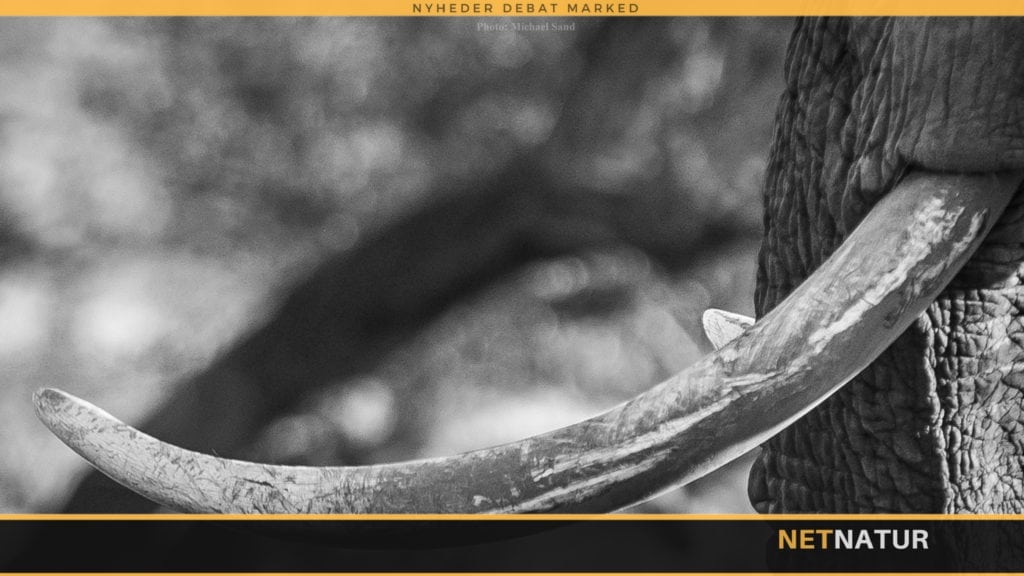 DF ønsker øget strafferamme for faunakriminalitet