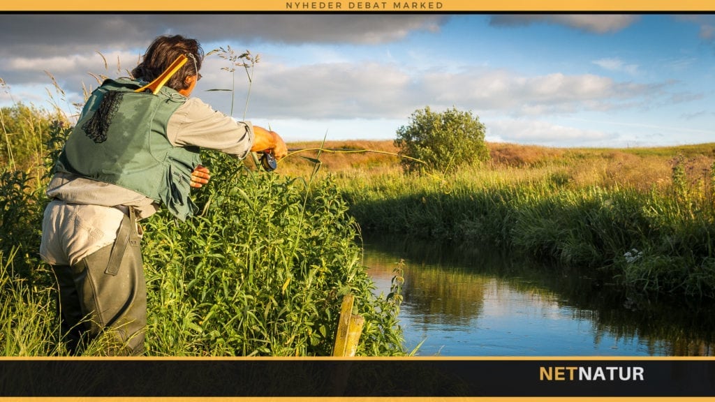 Nej til grødeskæring i Simested Å